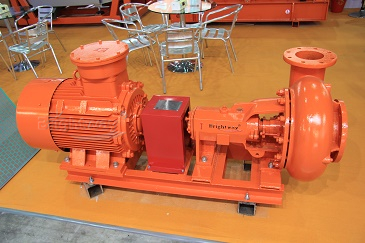 BWSB Centrifugal Pump in 2014 SHANGHAI Exhibition