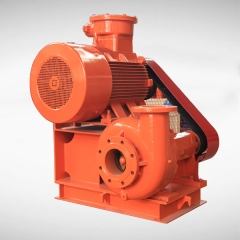 BWJQB6545 Shear Pump